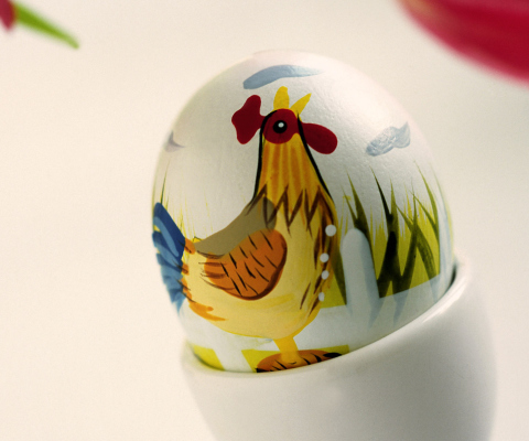 Fondo de pantalla Easter Egg With A Beautiful Motif 480x400