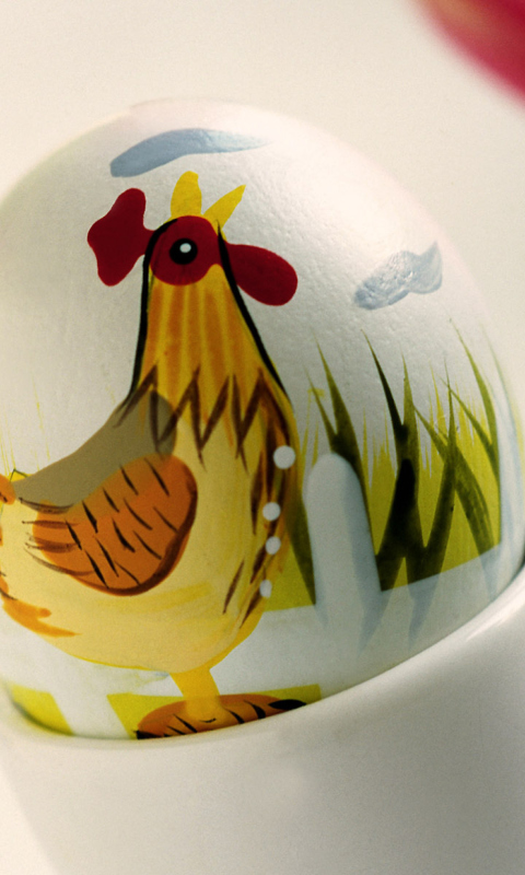 Fondo de pantalla Easter Egg With A Beautiful Motif 480x800