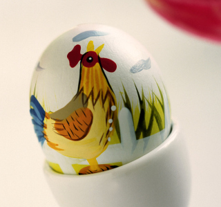 Easter Egg With A Beautiful Motif papel de parede para celular para iPad 2