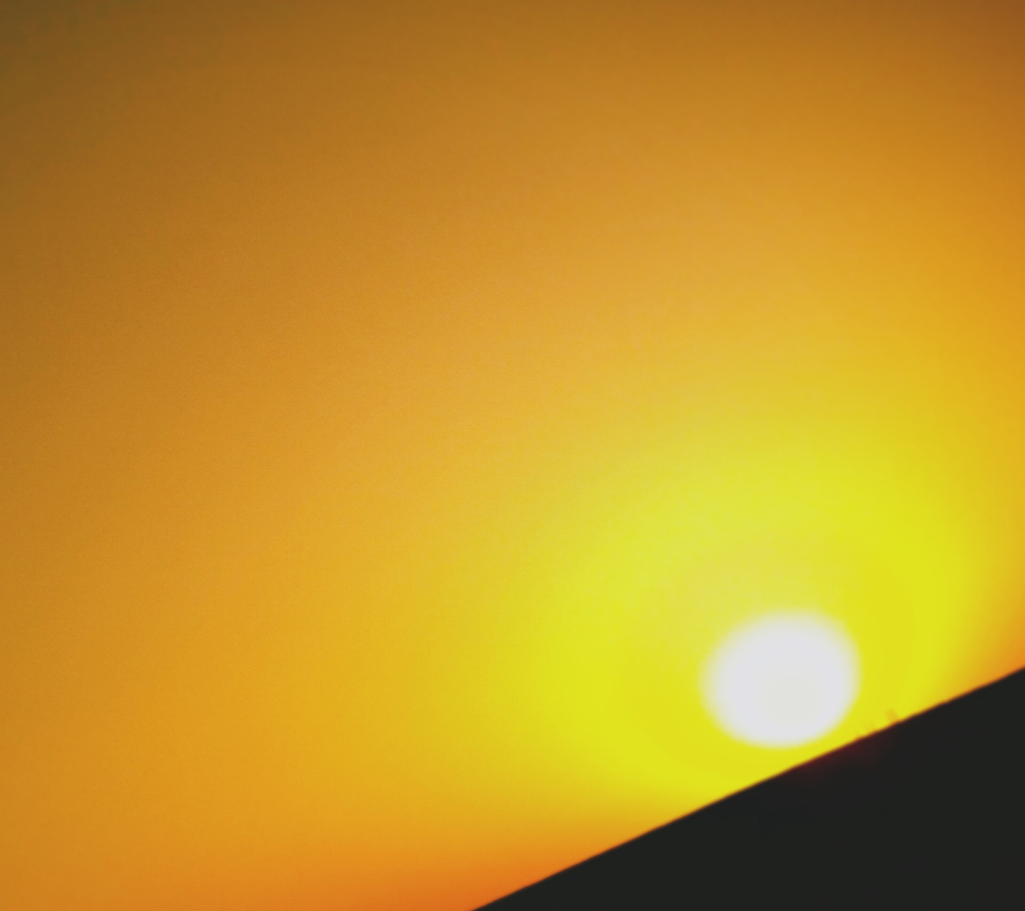 Black And Yellow Sun screenshot #1 1440x1280
