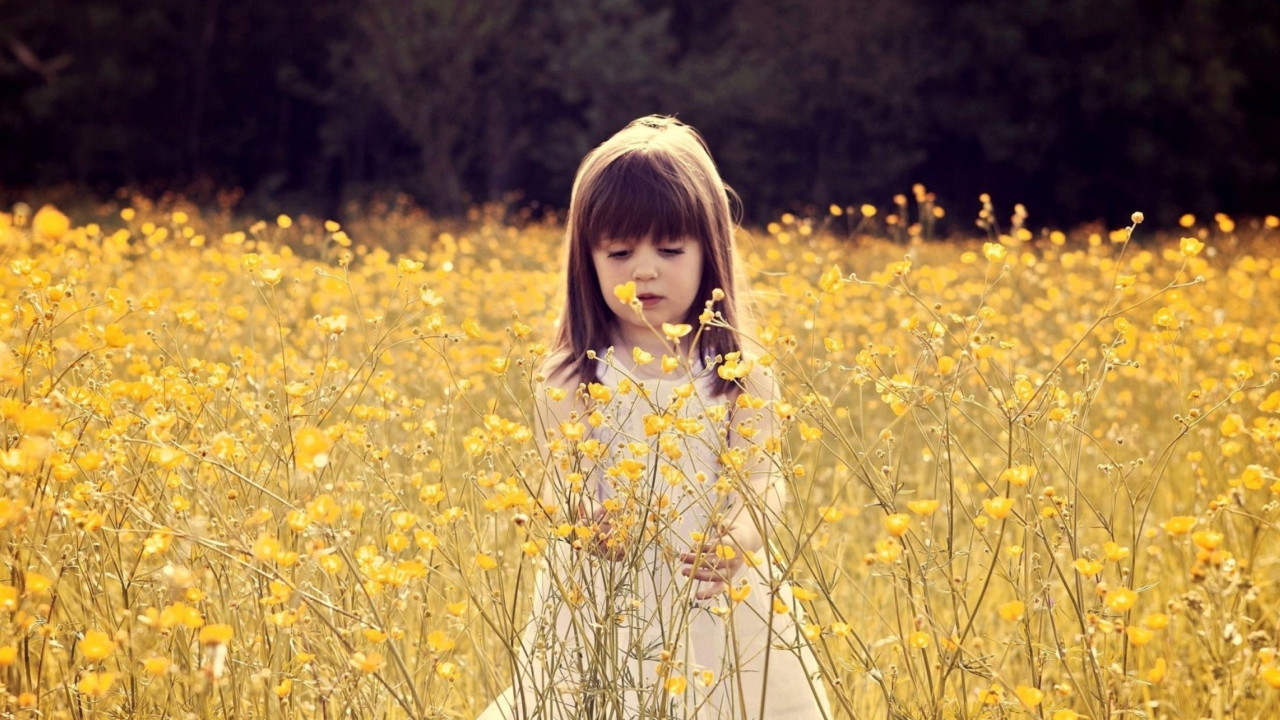 Fondo de pantalla Cute Little Girl In Flower Field 1280x720
