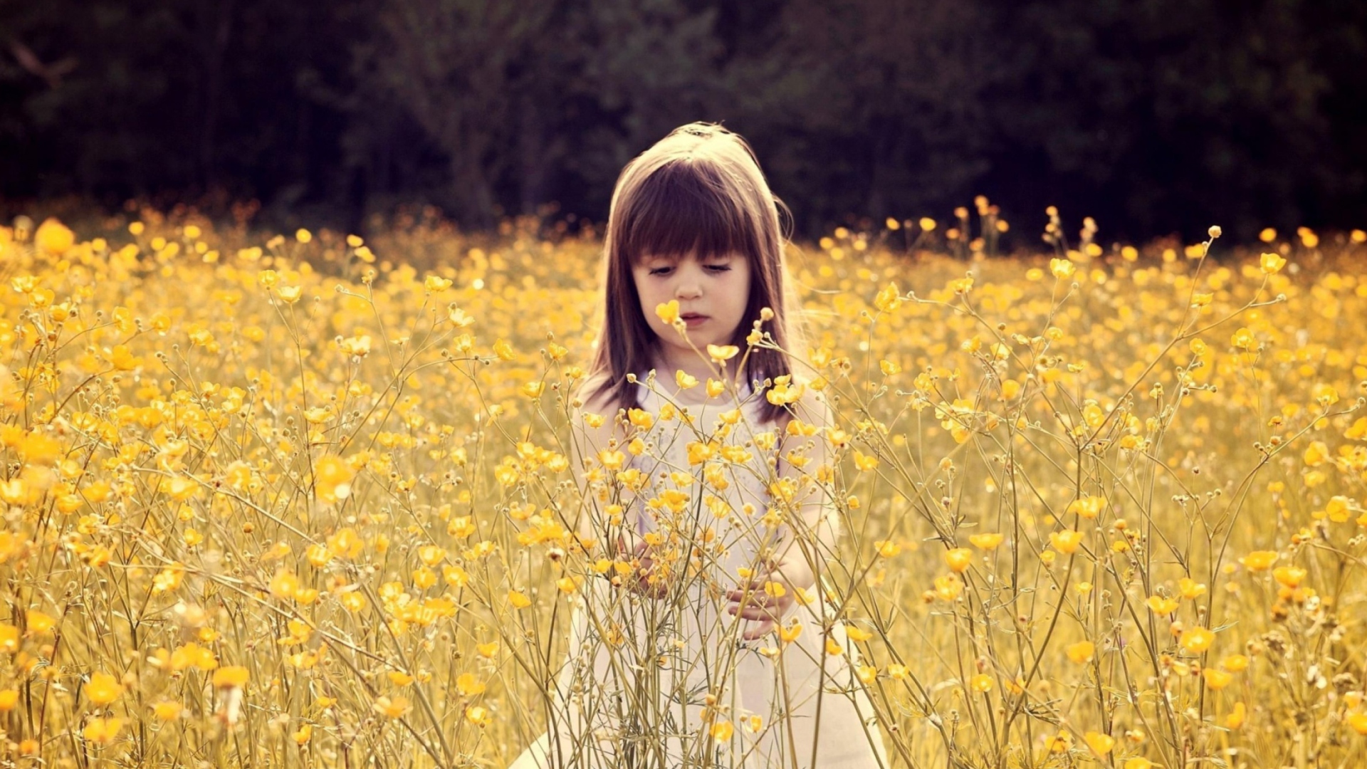 Sfondi Cute Little Girl In Flower Field 1920x1080