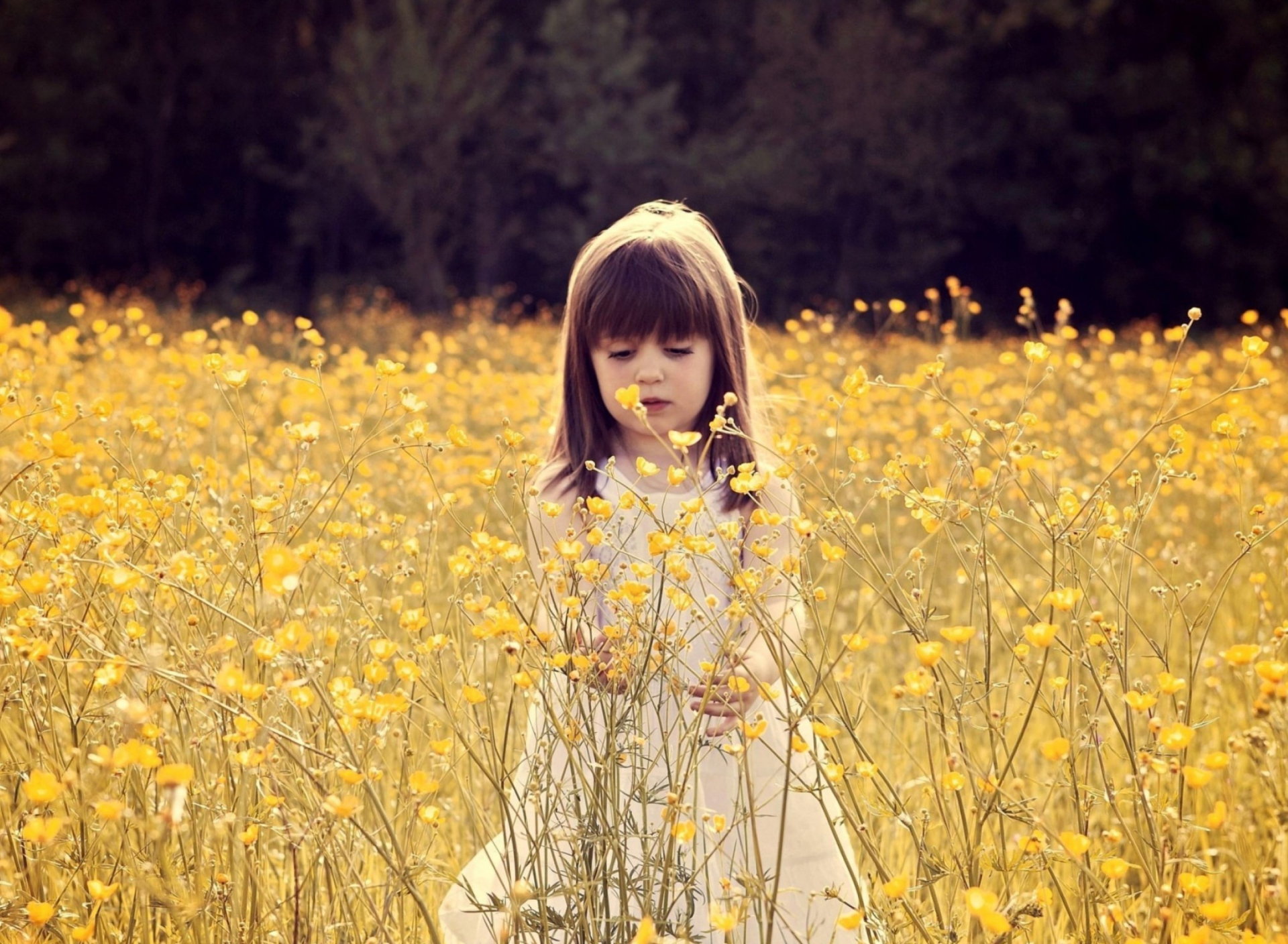Обои Cute Little Girl In Flower Field 1920x1408
