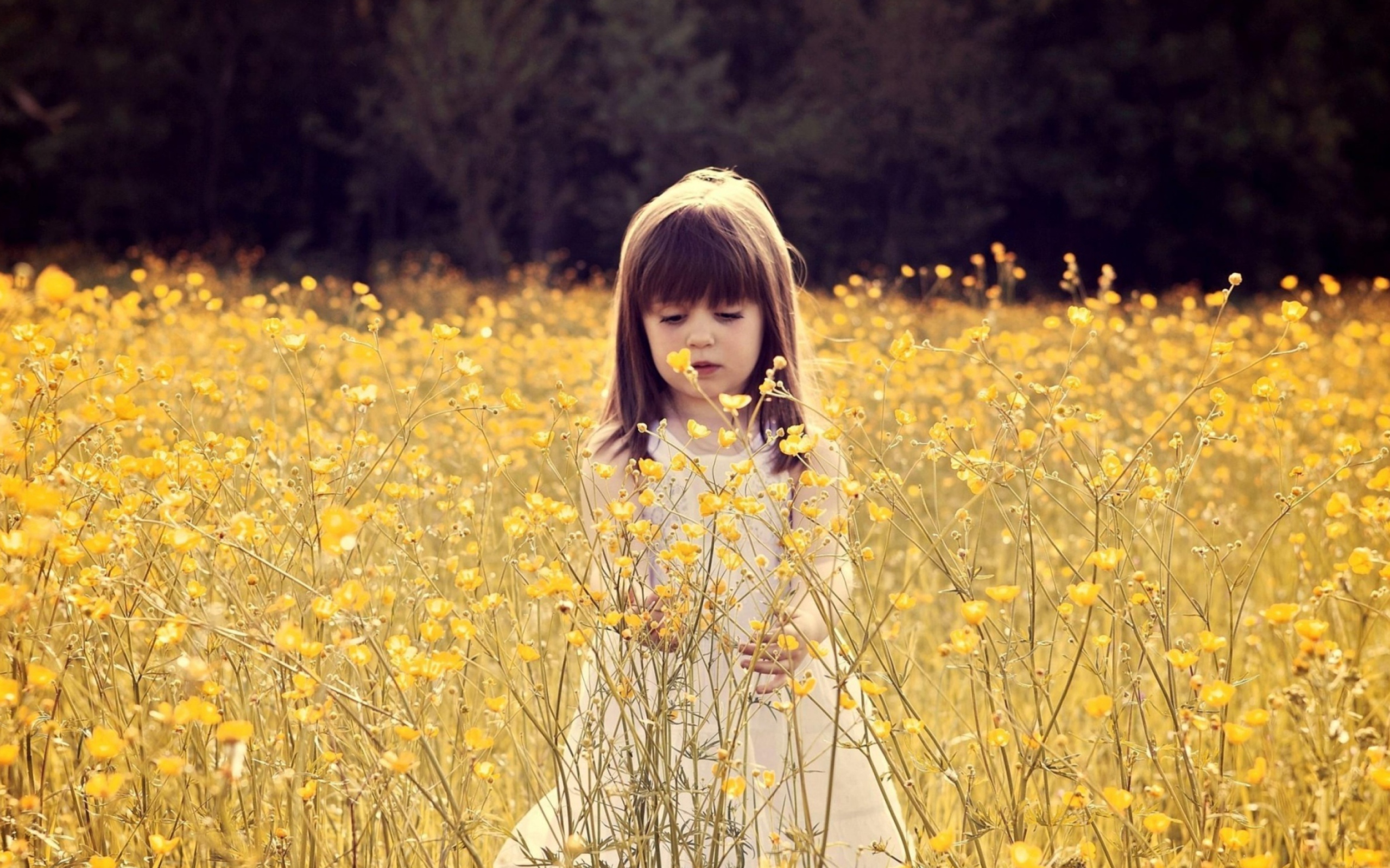 Das Cute Little Girl In Flower Field Wallpaper 2560x1600