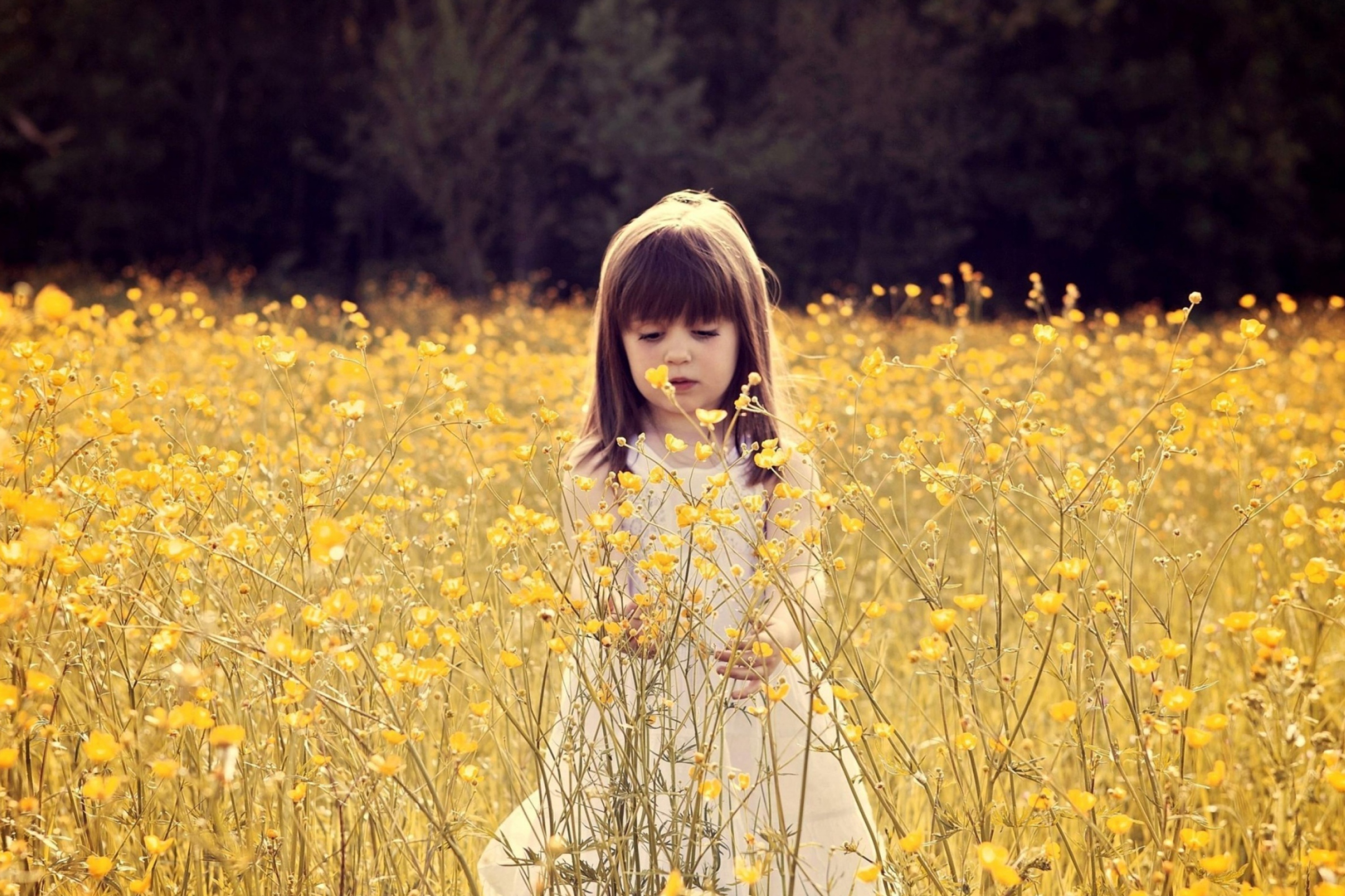 Cute Little Girl In Flower Field wallpaper 2880x1920