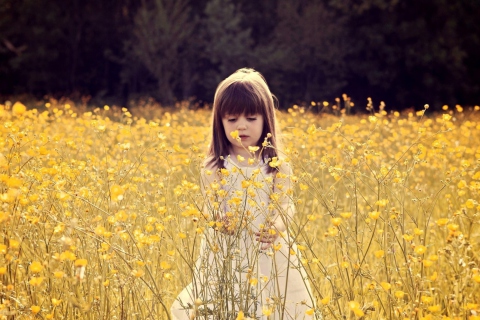 Обои Cute Little Girl In Flower Field 480x320