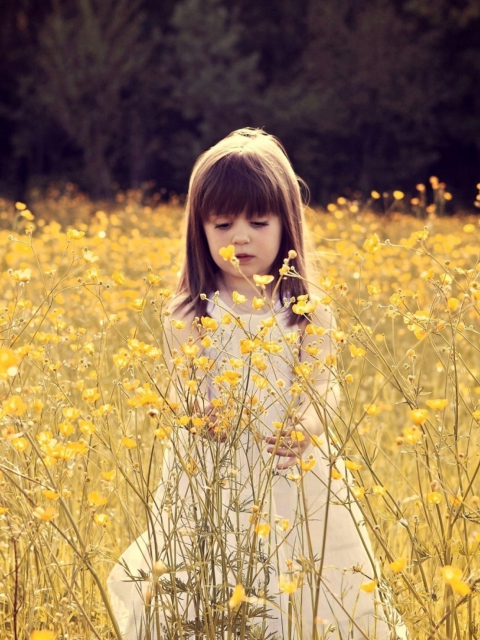 Cute Little Girl In Flower Field screenshot #1 480x640