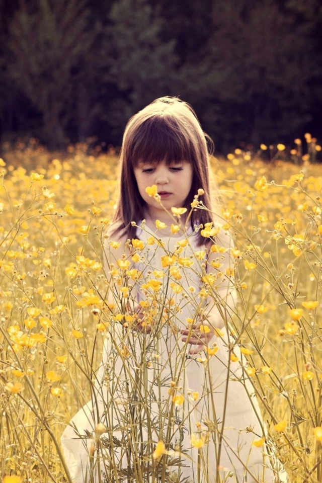 Sfondi Cute Little Girl In Flower Field 640x960