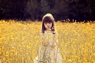 Cute Little Girl In Flower Field Picture for Android, iPhone and iPad