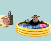 Das Sheep In Pool Wallpaper 176x144