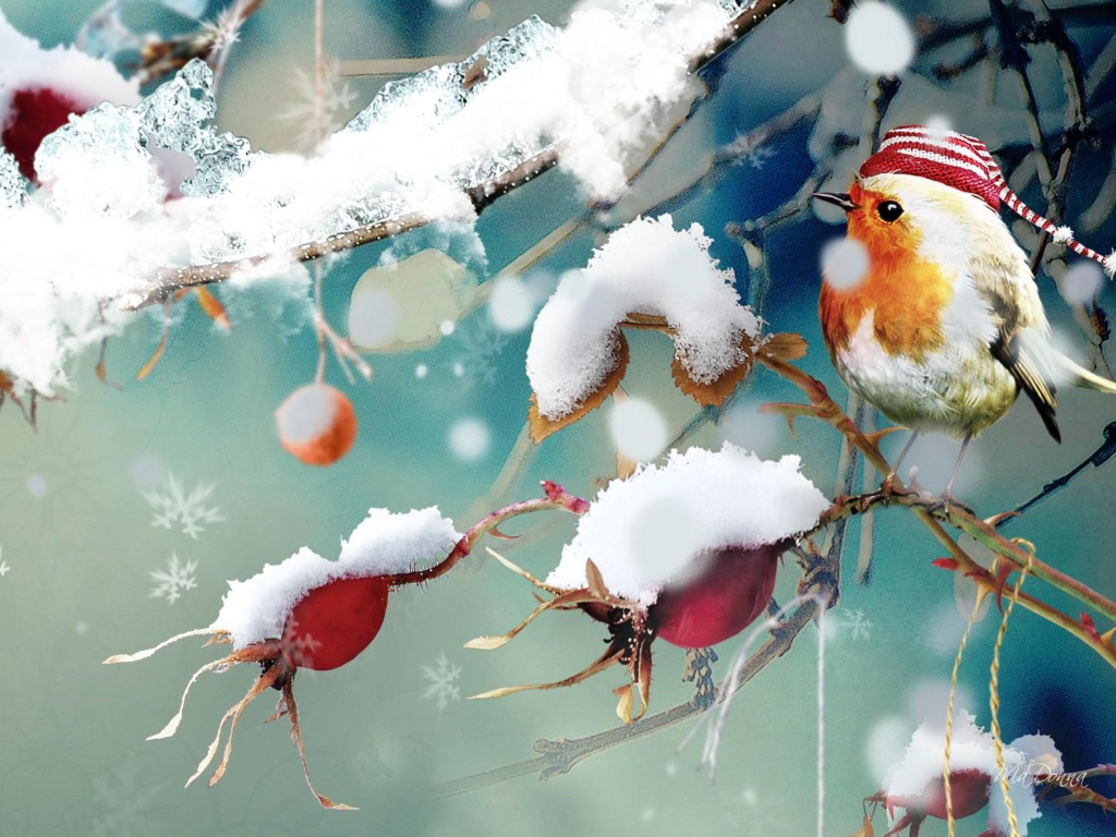 Das Sweet Winter Bird Wallpaper 1024x768