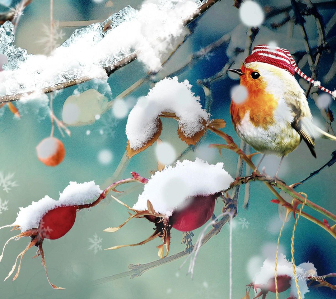 Screenshot №1 pro téma Sweet Winter Bird 1080x960