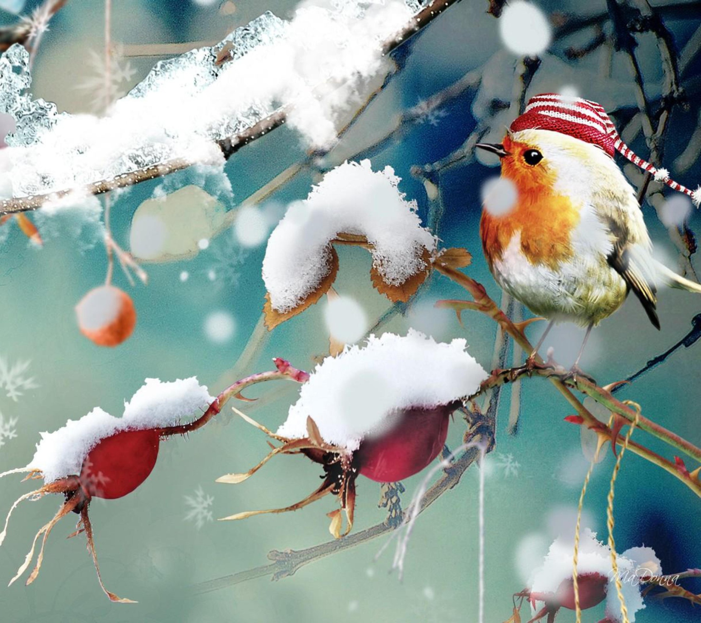Das Sweet Winter Bird Wallpaper 1440x1280