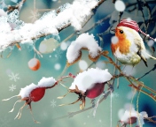 Sfondi Sweet Winter Bird 176x144