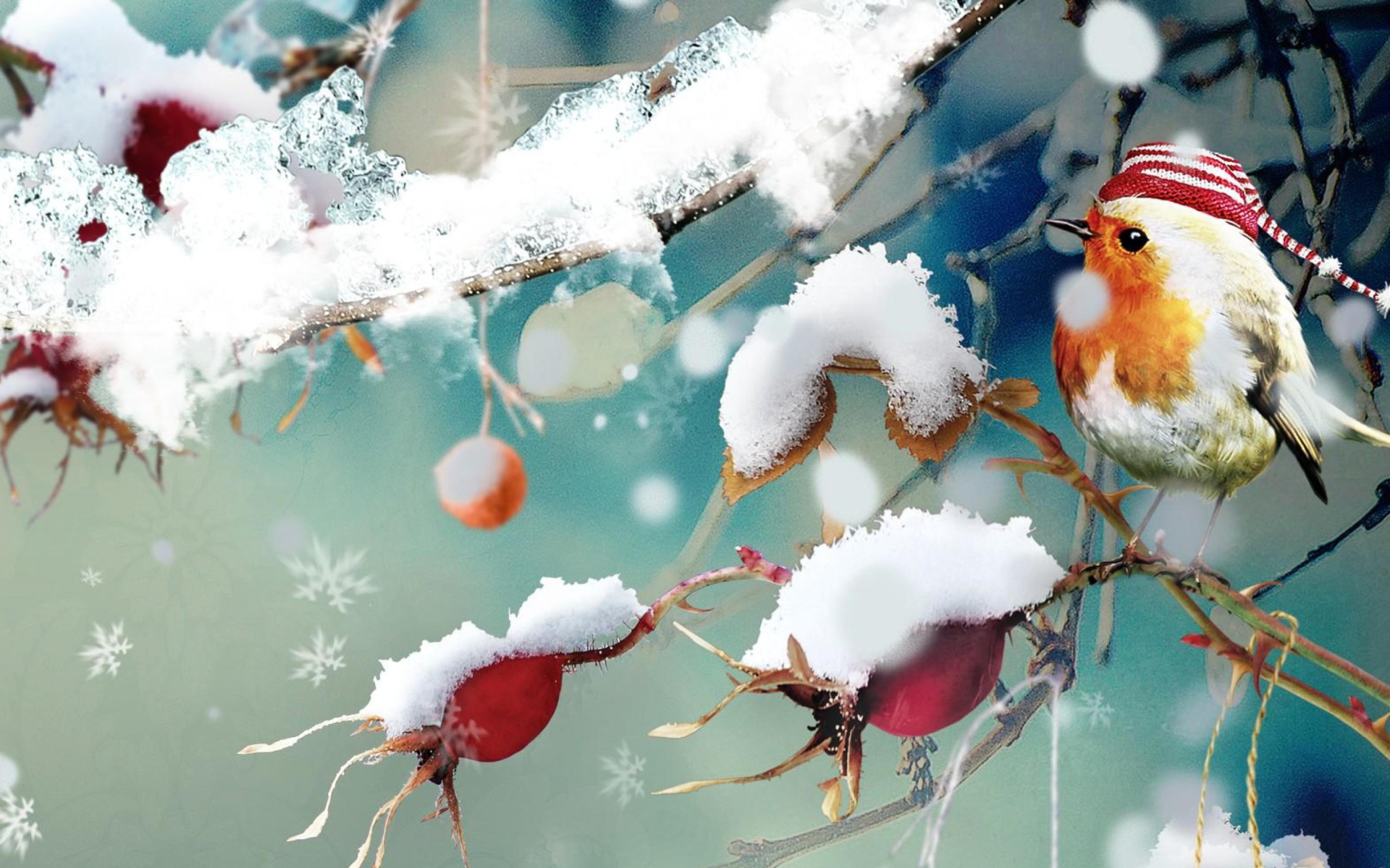 Sweet Winter Bird wallpaper 1920x1200