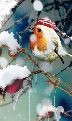 Sweet Winter Bird wallpaper 240x400
