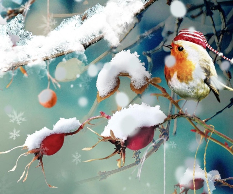 Sweet Winter Bird wallpaper 480x400