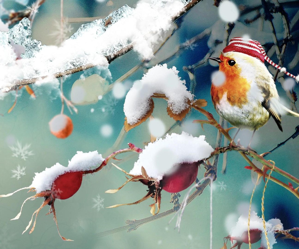 Sweet Winter Bird wallpaper 960x800