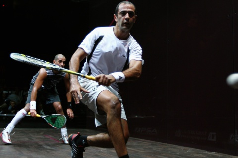 Amr Shabana - Squash screenshot #1 480x320