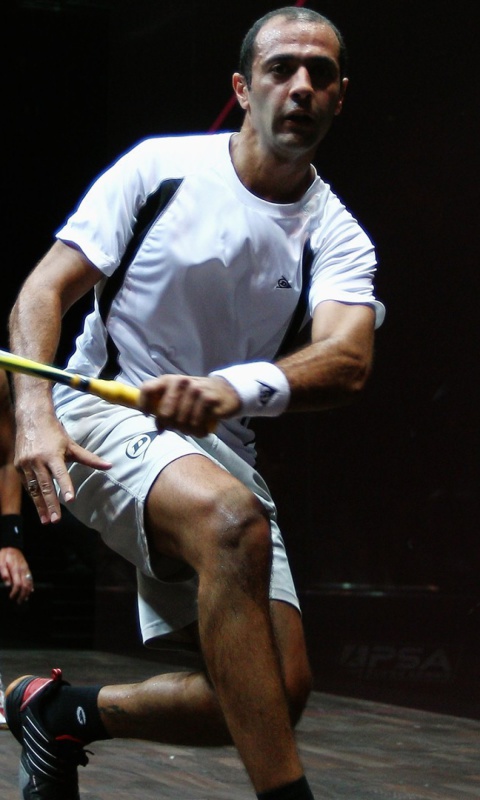 Amr Shabana - Squash wallpaper 480x800