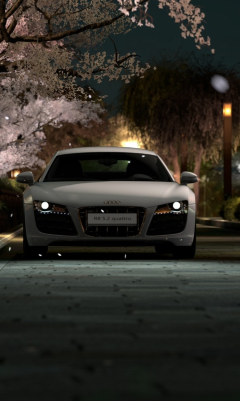 Audi R8 screenshot #1 480x800