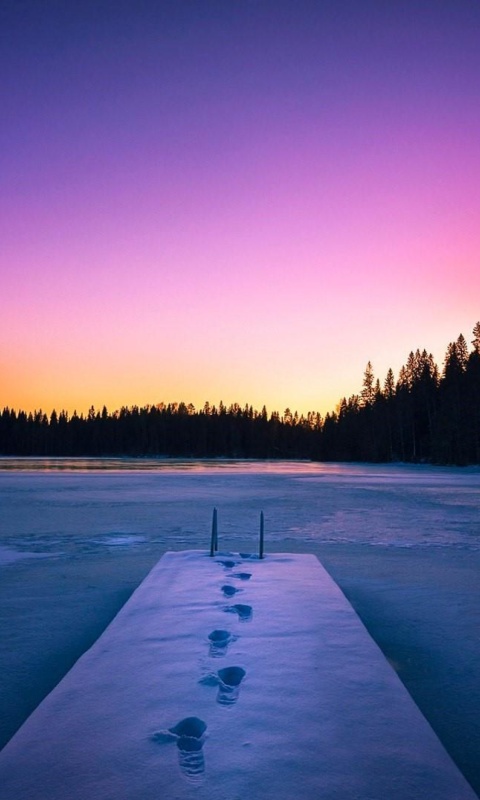Winter Lake screenshot #1 480x800