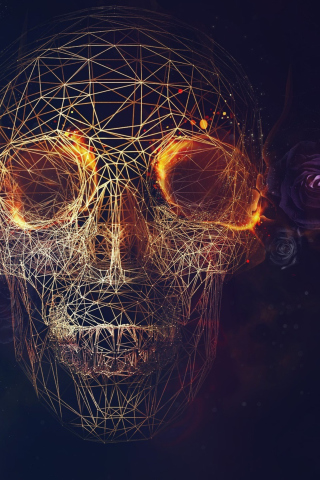 Skull wallpaper 320x480