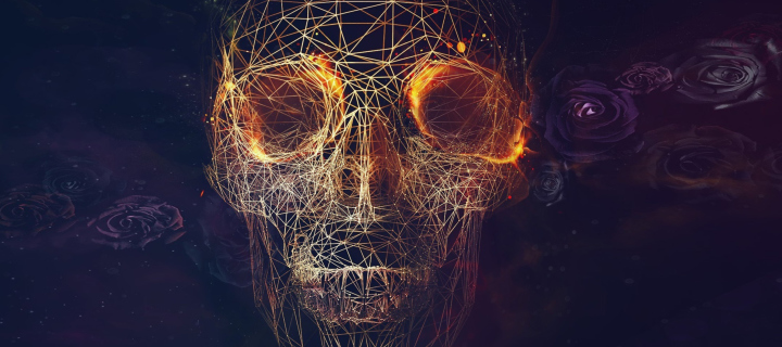 Skull wallpaper 720x320