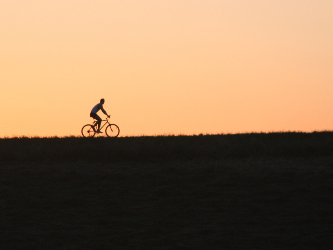 Das Bicycle Ride In Field Wallpaper 1152x864