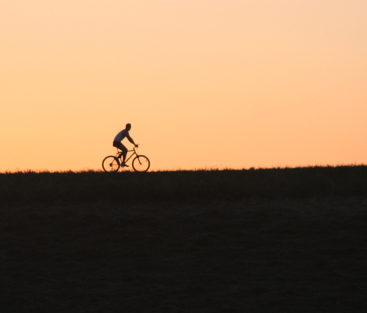 Bicycle Ride In Field wallpaper 1200x1024