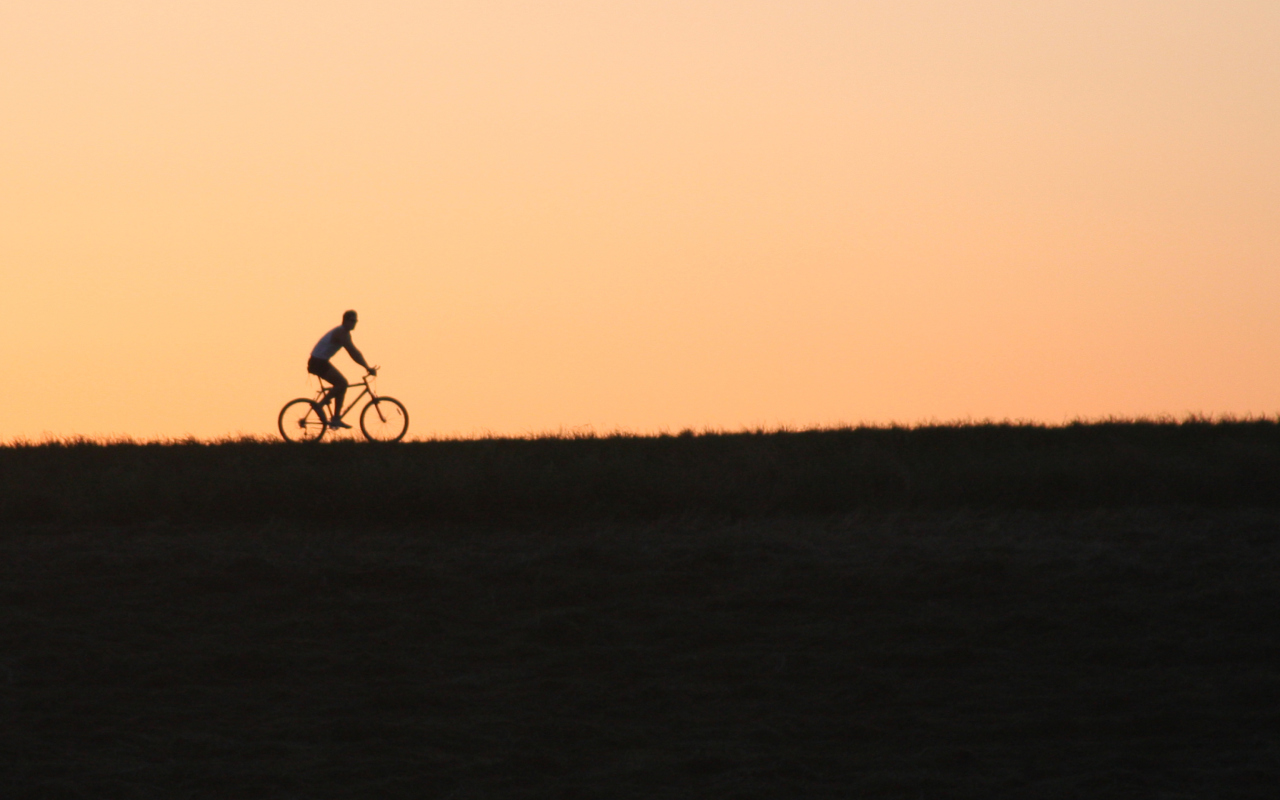 Bicycle Ride In Field wallpaper 1280x800
