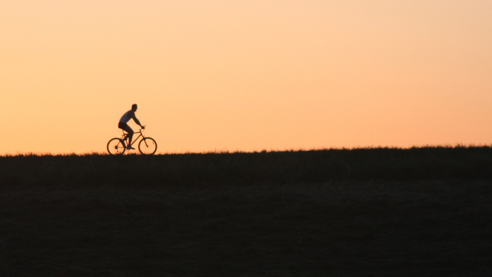 Bicycle Ride In Field screenshot #1 1600x900