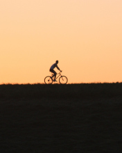 Fondo de pantalla Bicycle Ride In Field 176x220