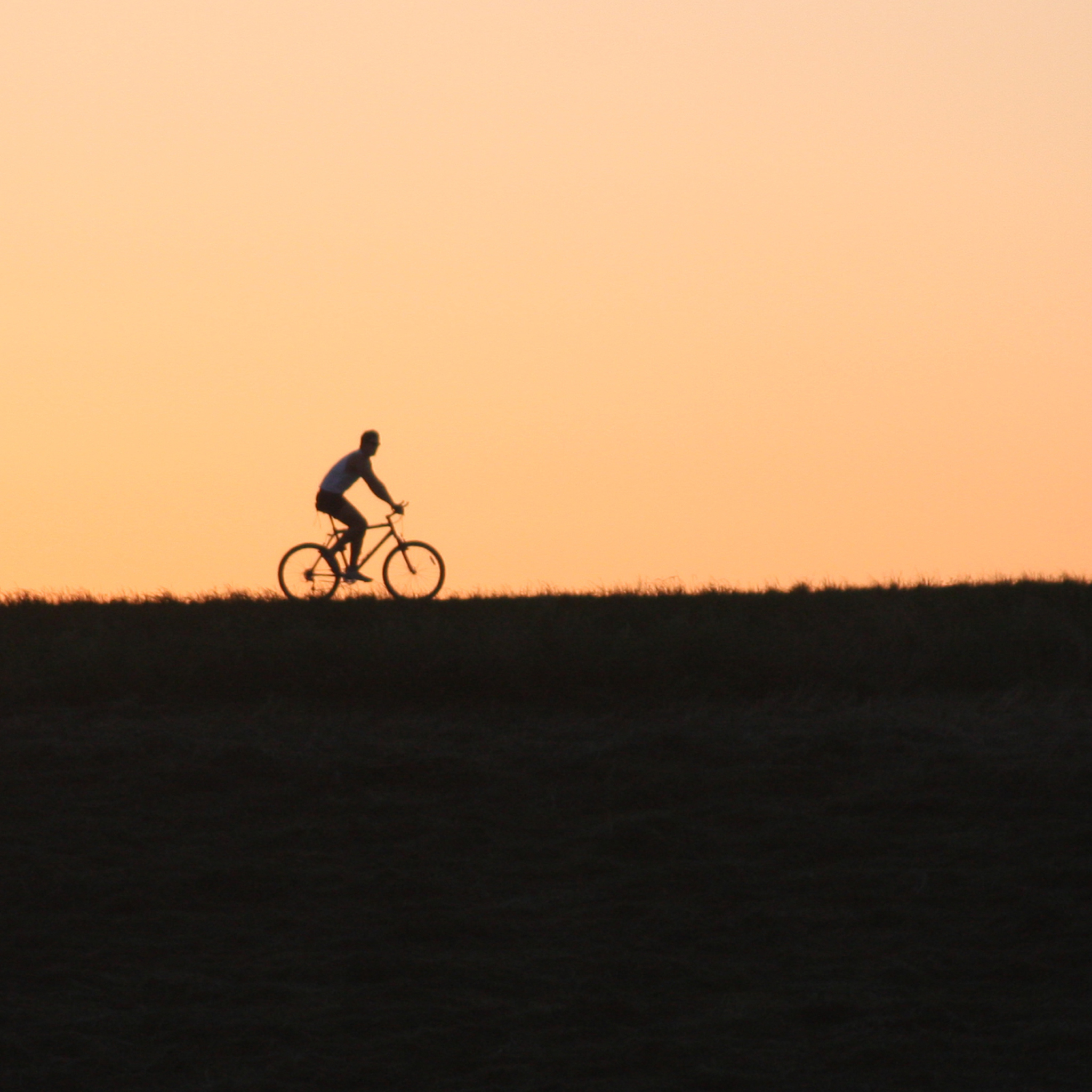 Bicycle Ride In Field screenshot #1 2048x2048