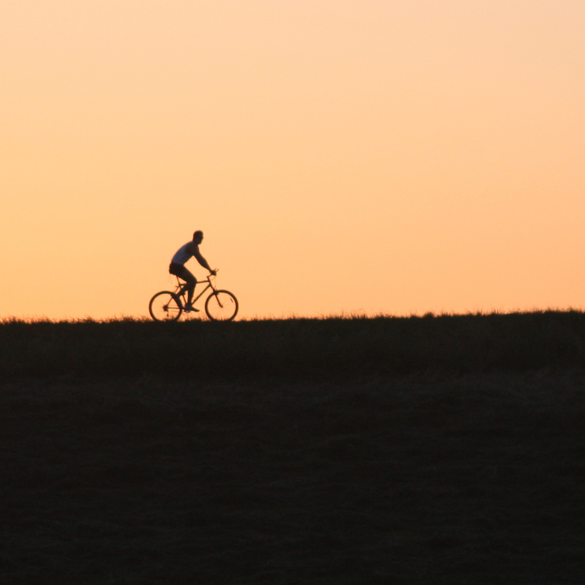 Bicycle Ride In Field wallpaper 2048x2048