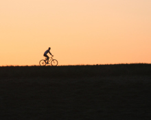Обои Bicycle Ride In Field 220x176