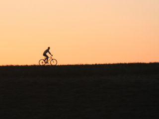 Обои Bicycle Ride In Field 320x240