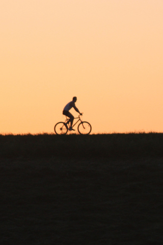 Fondo de pantalla Bicycle Ride In Field 320x480