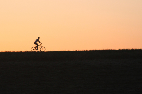 Das Bicycle Ride In Field Wallpaper 480x320