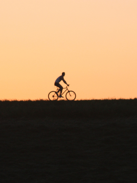 Bicycle Ride In Field wallpaper 480x640