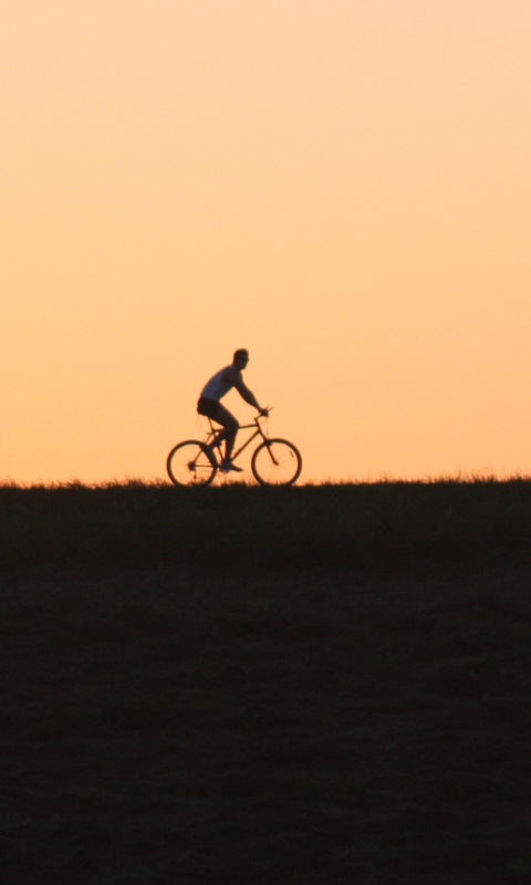 Bicycle Ride In Field screenshot #1 480x800