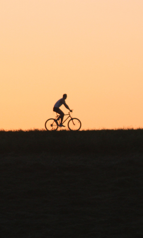 Bicycle Ride In Field wallpaper 480x800