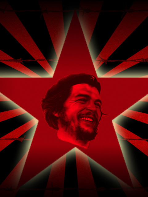 Screenshot №1 pro téma Marxist revolutionary Che Guevara 480x640