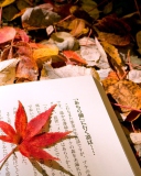 Red Leaf On A Book wallpaper 128x160