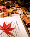 Обои Red Leaf On A Book 128x160