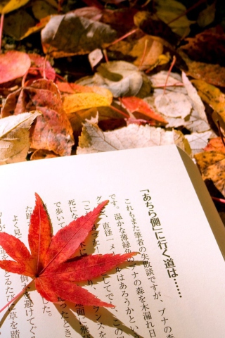 Red Leaf On A Book wallpaper 320x480