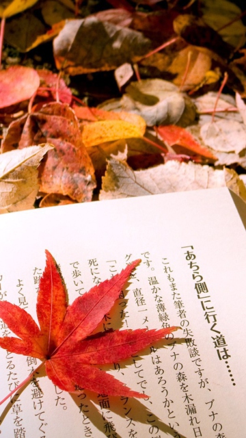 Red Leaf On A Book wallpaper 360x640