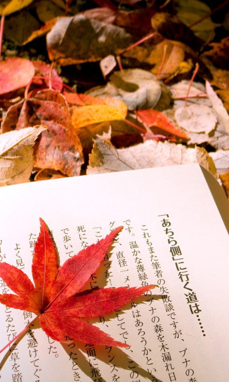 Обои Red Leaf On A Book 768x1280