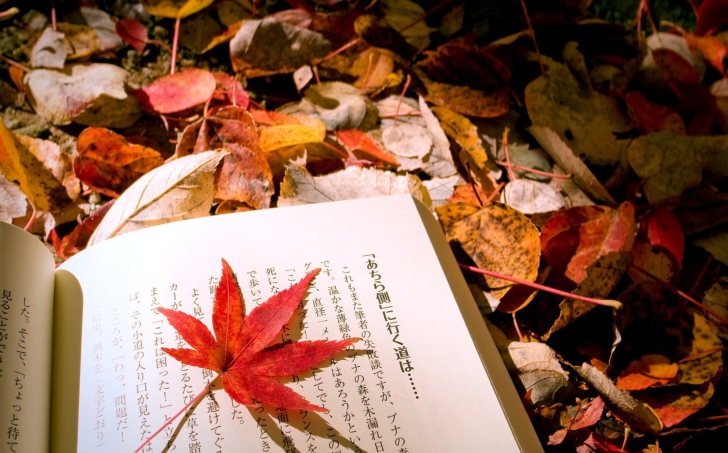 Fondo de pantalla Red Leaf On A Book