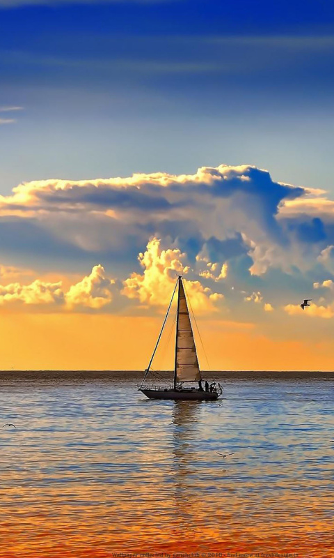 Sailboat In Slovenia wallpaper 480x800